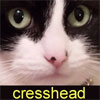 Avatar for cresshead